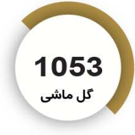 رنگ فوری گل ماشی
1053
کیلویی