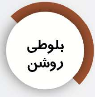 شاپان روغنی
بلوطی روشن